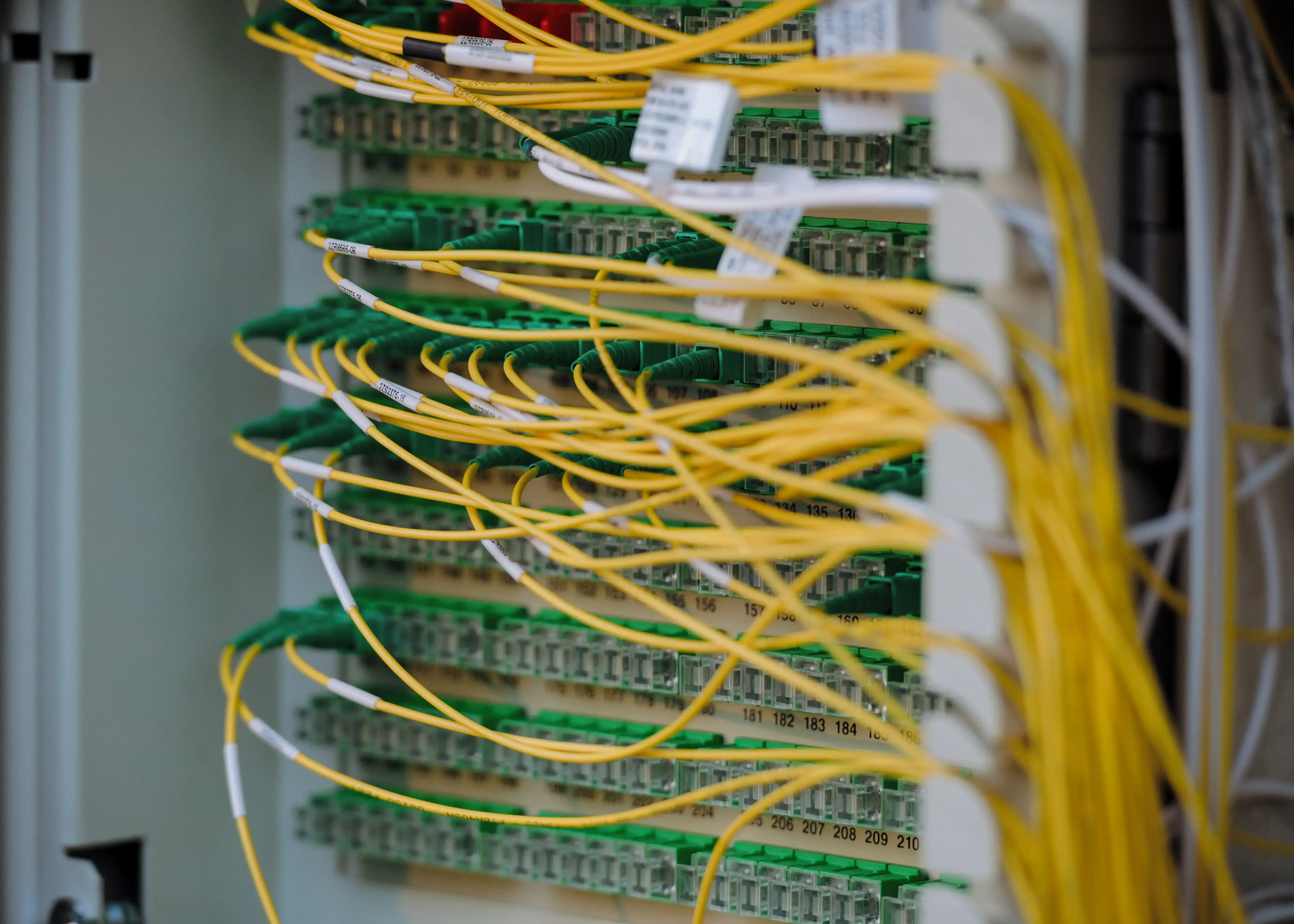 Yellow fiber optic cables organized in a network patch panel cabinet